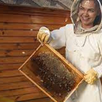 Research Brief -Enhancing women participation in apiculture for livelihoods and environmental conservation